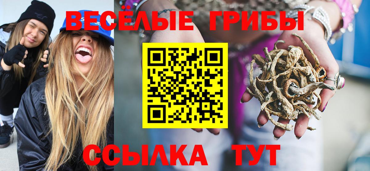 Балтийск  Псилоцибиновые грибы Magic Shrooms  Вход с VPN  Галлюциногенные грибы Magic Shrooms 